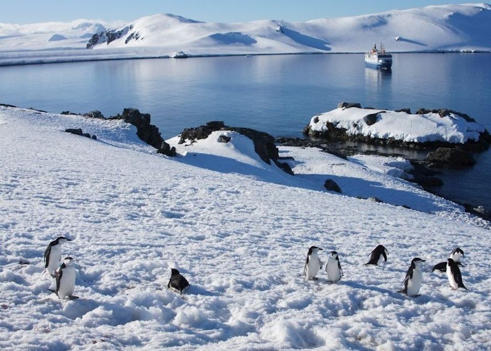 Antarctic Peninsula cruise  Audley Travel